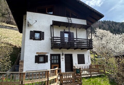 FORNI DI SOPRA – DOLOMITI 204